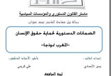 الضمانات الدستورية لحماية حقوق الإنسان