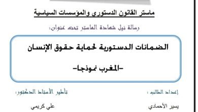 الضمانات الدستورية لحماية حقوق الإنسان