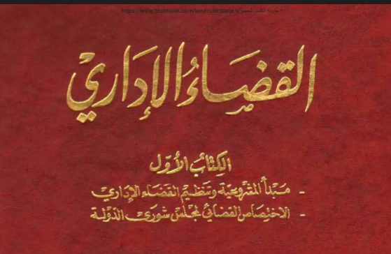 القضاء الإداري