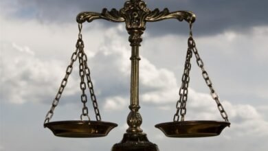 صيغة  دعوى مسئولية مؤسسى الشركة قبل المساهمين