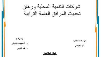شركة التنمية المحلية ورهان تحديث المرافق العامة الترابية