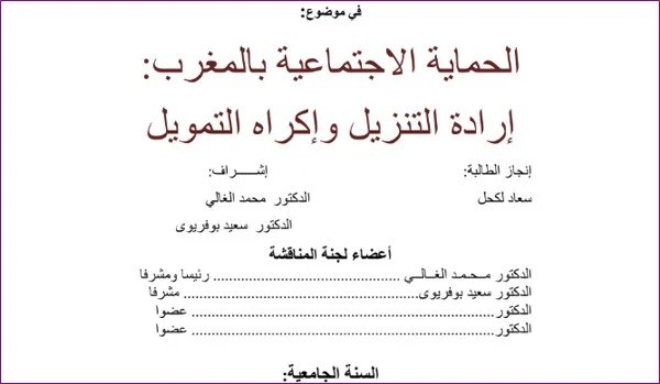 الحماية الاجتماعية بالمغرب إرادة التنزيل وإكراه التمويل PDF