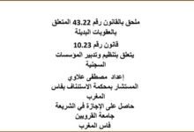 تحيين بعض القوانين 2025 القانون رقم 43.22 المتعلق بالعقوبات البديلة قانون رقم 10.23 يتعلق بتنظيم وتدبير المؤسسات السجنية PDF