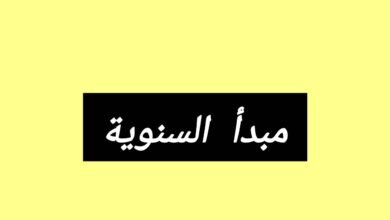 تعريف مبدأ السنوية والإستثناءات الواردة عليه 17 تعريف مبدأ السنوية والإستثناءات الواردة عليه