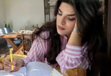 سلمى مبتكر: التشفير Encryption بين الخصوصية والأمن العام