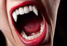 مجلة مغرب القانون