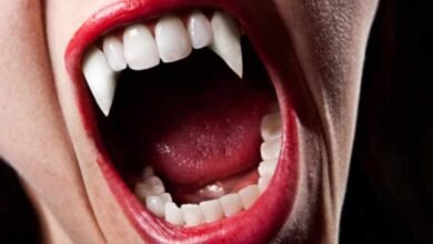 مجلة مغرب القانون