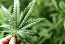 مجلة مغرب القانون