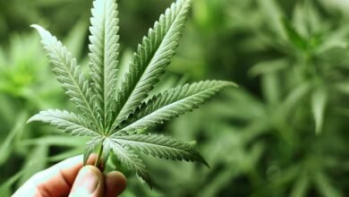 مجلة مغرب القانون