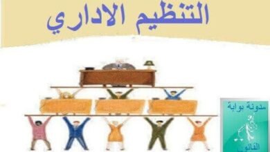 ملخص القانون الاداري : التنظيم الاداري PDF