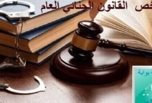 ملخص القانون الجنائي العام PDF