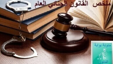 ملخص القانون الجنائي العام PDF