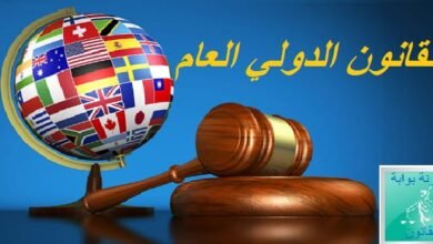 ملخص القانون الدولي العام PDF