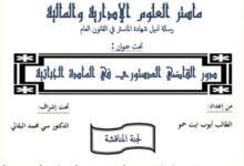دور القاضي الدستوري في المادة الجبائية PDF