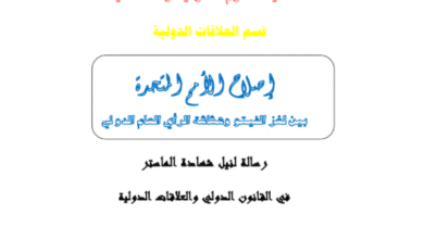 إصلاح الأمم المتحدة  بين لغز الفيتو وهشاشة الرأي العام الدولي