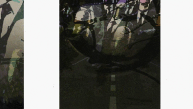 تحميل كتاب :السرعة والسياسة من قورة الشارع إلى الحق في الدولة