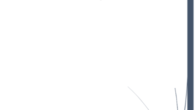 كتاب شرح عقد الوكالة الدكتور حازم زهو رعد PDF 19 كتاب شرح عقد الوكالة الدكتور حازم زهو رعد PDF