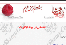 التقاضي في بيئة الإنترنت