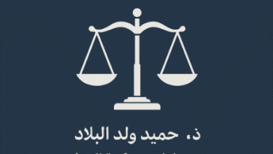 مساهمة القضاء الإداري في حماية أملاك الأشخاص المعنوية العامة