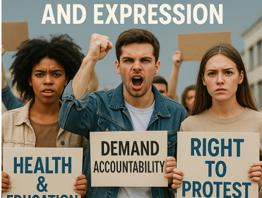 حرية الرأي والتعبير، التظاهر من منظور المجلس الوطني لحقوق الإنسان